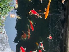 -金海华·华宴江南(斜塘店)