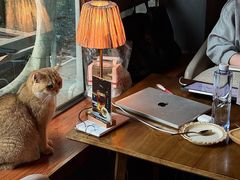 -咖法森林·咖啡  酒吧(天河店)