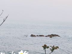 -燕儿岛山公园