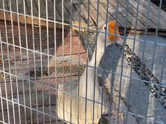 -北京园博大酒店