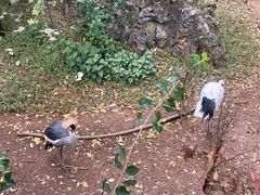 -昆明动物园
