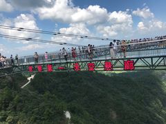 -梦幻奥陶纪景区