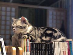 -小时光咖啡馆(开森度假森林店)