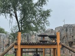 -石家庄市动物园