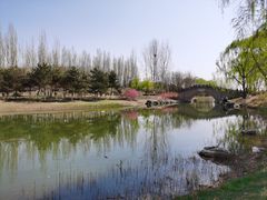 -大兴滨河森林公园