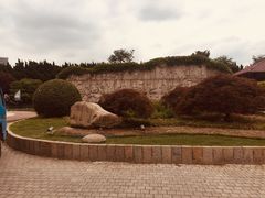 -嘉定紫藤园