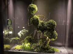 -唐宫足道·SPA·影院会馆(木渎店)