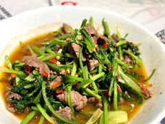 香菜炒牛肉-壹盏灯(蚂蚁工房店)