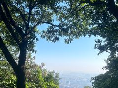 -惠山国家森林公园