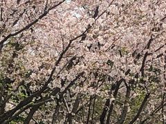 -白塘生态植物园