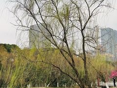 -天鹅湖体育公园