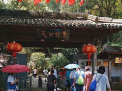 -灵栖洞天