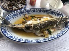 清蒸白水鱼-洞天食府(北大街店)