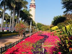 -五通灯塔公园