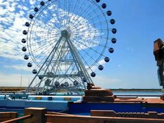 -秦皇岛乐岛海洋王国