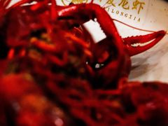 清蒸龙虾-指爱龙虾(金杨路总店)
