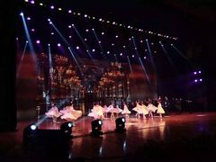 -紫薇实验幼儿园(桂平路校区)