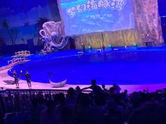 -华夏文旅海洋公园