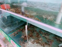 -阳澄湖大闸蟹·琼灵阁牌品牌连锁(吴中总店)