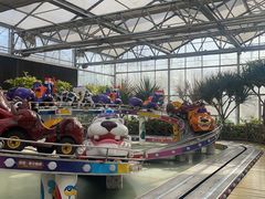 -南宫五洲植物乐园