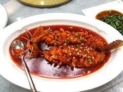 -丁老爷子苏香圆