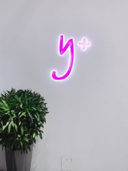 -Y+普拉提·轻抗阻·女子塑形