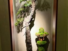 -觀芷隐轩