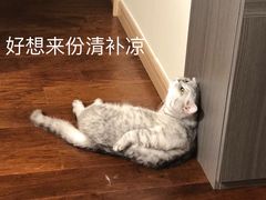 -潘老板炸鸡(河西万达店)
