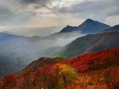 -白草畔自然风景区