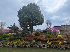 -常州武进九洲喜来登酒店
