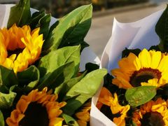 -循礼门鲜花花市(武汉循礼门店)