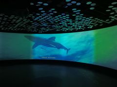 -同济大学四平路校区深海探索馆