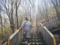 -帽儿山国家森林公园