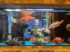 -顺轩海鲜火锅酒家