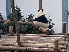-红山森林动物园
