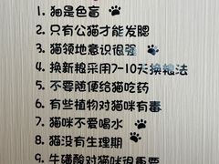 -唐小姐の私宠·宠物洗护美容·撸猫馆·购宠(周浦万达旗舰店)