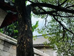 -青岛崂山太清宫