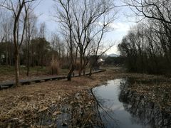 -西溪国家湿地公园