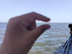 -天津东疆湾沙滩景区
