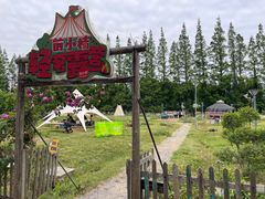 -前小桔亲子创意农场·草莓采摘·露营烧烤