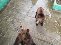 -西霞口神雕山野生动物世界