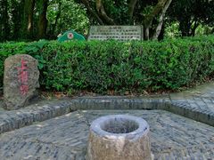 -上海佘山国家森林公园天马山园