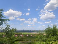 -大江麻辣拌(石油学院店)