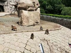 -哈尔滨北方森林动物园