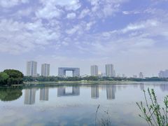 -渤公岛生态公园