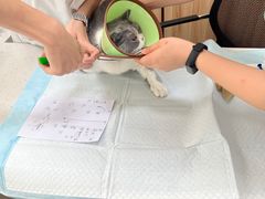 -贝来恩24H动物医院·转诊中心(稻香路店)