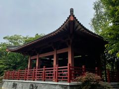 -武汉园博园(武汉自然博物馆)