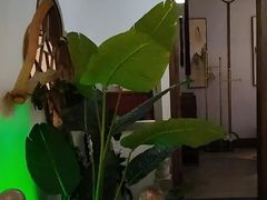 -徽镇小厨·经典徽菜(马连道店)