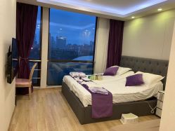 -海豚湾高端月子会所(黄浦店)