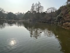 -杭州植物园